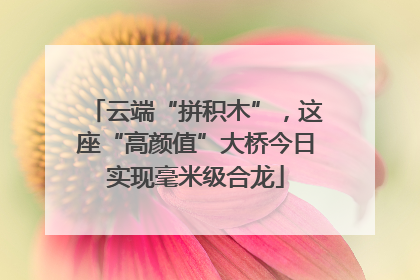 云端“拼积木”，这座“高颜值”大桥今日实现毫米级合龙