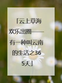 云上草海 欢乐出圈——有一种叫云南的生活之365天