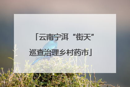云南宁洱“街天”巡查治理乡村药市