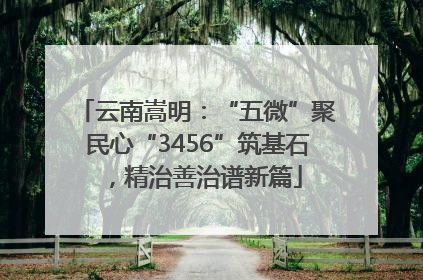 云南嵩明：“五微”聚民心“3456”筑基石，精治善治谱新篇