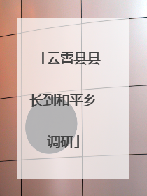 云霄县县长到和平乡调研