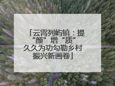 云霄列屿镇：提“颜”增“质” 久久为功勾勒乡村振兴新画卷
