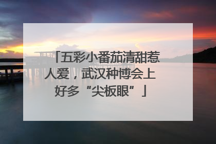 五彩小番茄清甜惹人爱，武汉种博会上好多“尖板眼”