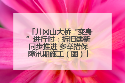 井冈山大桥“变身”进行时：拆旧建新同步推进 多举措保障汛期施工（图）