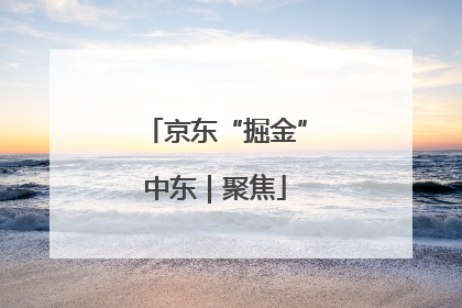 京东“掘金”中东｜聚焦