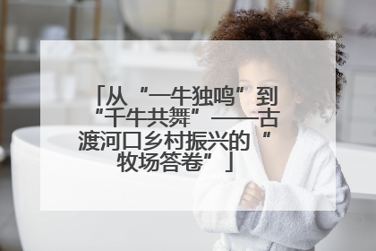 从“一牛独鸣”到“千牛共舞”——古渡河口乡村振兴的“牧场答卷”
