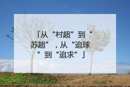 从“村超”到“苏超”，从“追球”到“追求”