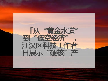 从“黄金水道”到“低空经济”，江汉区科技工作者日展示“硬核”产业答卷