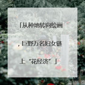 从种地转向绘画，巨野万名妇女链上“花经济”
