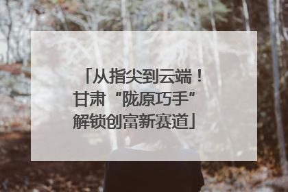 从指尖到云端！甘肃“陇原巧手”解锁创富新赛道