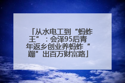从水电工到“蚂蚱王”：会泽95后青年返乡创业养蚂蚱“蹦”出百万财富路