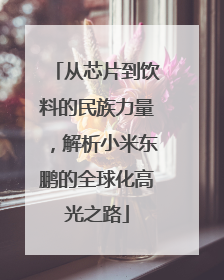 从芯片到饮料的民族力量，解析小米东鹏的全球化高光之路