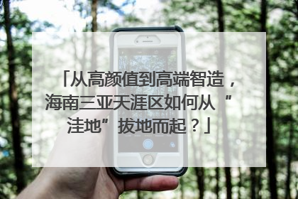 从高颜值到高端智造，海南三亚天涯区如何从“洼地”拔地而起？