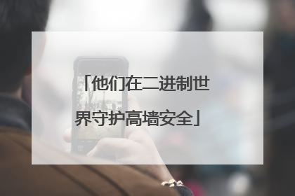 他们在二进制世界守护高墙安全