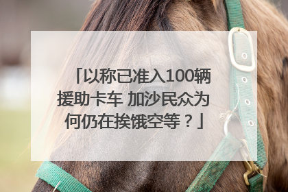 以称已准入100辆援助卡车 加沙民众为何仍在挨饿空等？