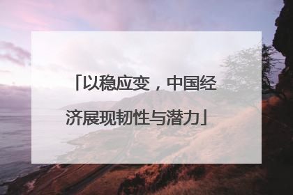 以稳应变，中国经济展现韧性与潜力