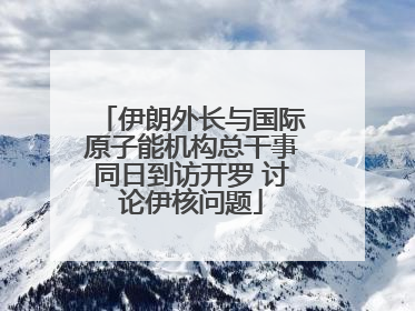 伊朗外长与国际原子能机构总干事同日到访开罗 讨论伊核问题