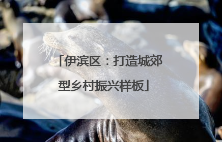 伊滨区：打造城郊型乡村振兴样板