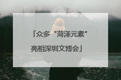 众多“菏泽元素”亮相深圳文博会