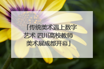 传统美术遇上数字艺术 四川高校教师美术展成都开幕