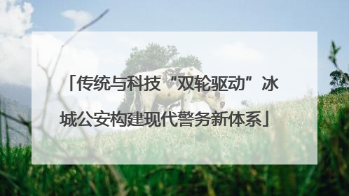 传统与科技“双轮驱动”冰城公安构建现代警务新体系