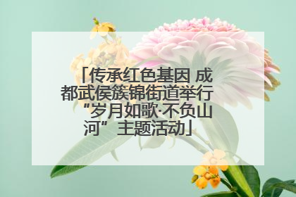 传承红色基因 成都武侯簇锦街道举行“岁月如歌·不负山河”主题活动