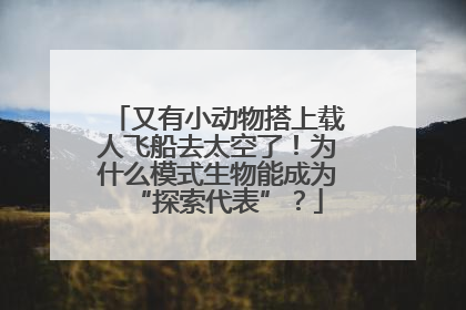 又有小动物搭上载人飞船去太空了！为什么模式生物能成为“探索代表”？