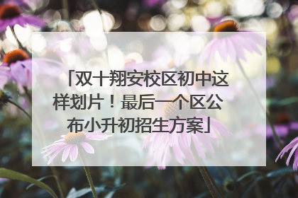 双十翔安校区初中这样划片！最后一个区公布小升初招生方案