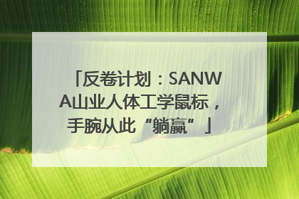 反卷计划：SANWA山业人体工学鼠标，手腕从此“躺赢”