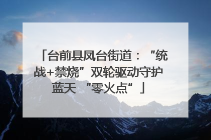 台前县凤台街道：“统战+禁烧”双轮驱动守护蓝天 “零火点”