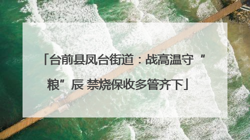 台前县凤台街道：战高温守“粮”辰 禁烧保收多管齐下