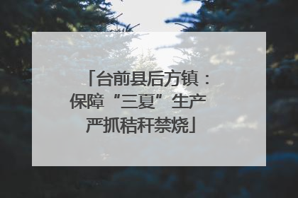 台前县后方镇：保障“三夏”生产 严抓秸秆禁烧