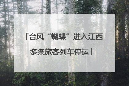 台风“蝴蝶”进入江西 多条旅客列车停运