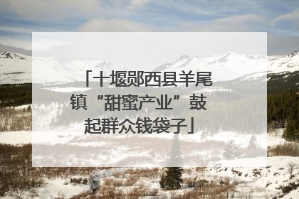 十堰郧西县羊尾镇“甜蜜产业”鼓起群众钱袋子