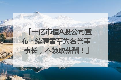 千亿市值A股公司宣布：续聘雷军为名誉董事长，不领取薪酬！