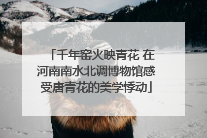 千年窑火映青花 在河南南水北调博物馆感受唐青花的美学悸动