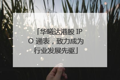 华曦达港股 IPO 递表，致力成为行业发展先驱