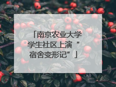 南京农业大学学生社区上演“宿舍变形记”