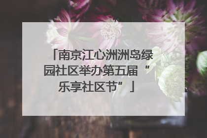 南京江心洲洲岛绿园社区举办第五届“乐享社区节”