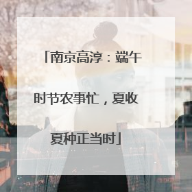 南京高淳：端午时节农事忙，夏收夏种正当时