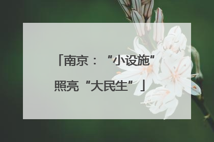 南京：“小设施”照亮“大民生”