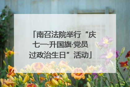南召法院举行“庆七一·升国旗·党员过政治生日”活动