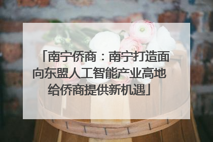 南宁侨商：南宁打造面向东盟人工智能产业高地给侨商提供新机遇