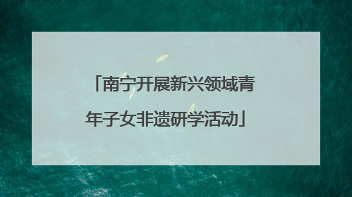 南宁开展新兴领域青年子女非遗研学活动