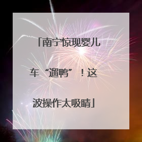 南宁惊现婴儿车“遛鸭”！这波操作太吸睛