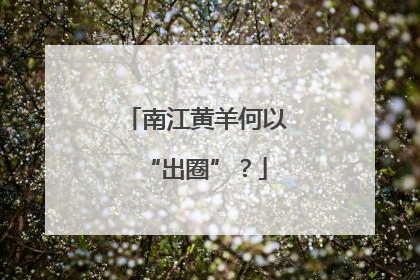 南江黄羊何以“出圈”？