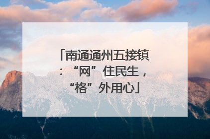 南通通州五接镇：“网”住民生，“格”外用心