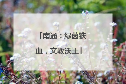 南通：绿茵铁血，文教沃土