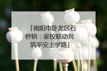 南阳市卧龙区石桥镇：家校联动共筑平安上学路