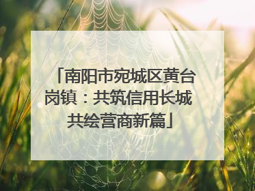 南阳市宛城区黄台岗镇：共筑信用长城 共绘营商新篇